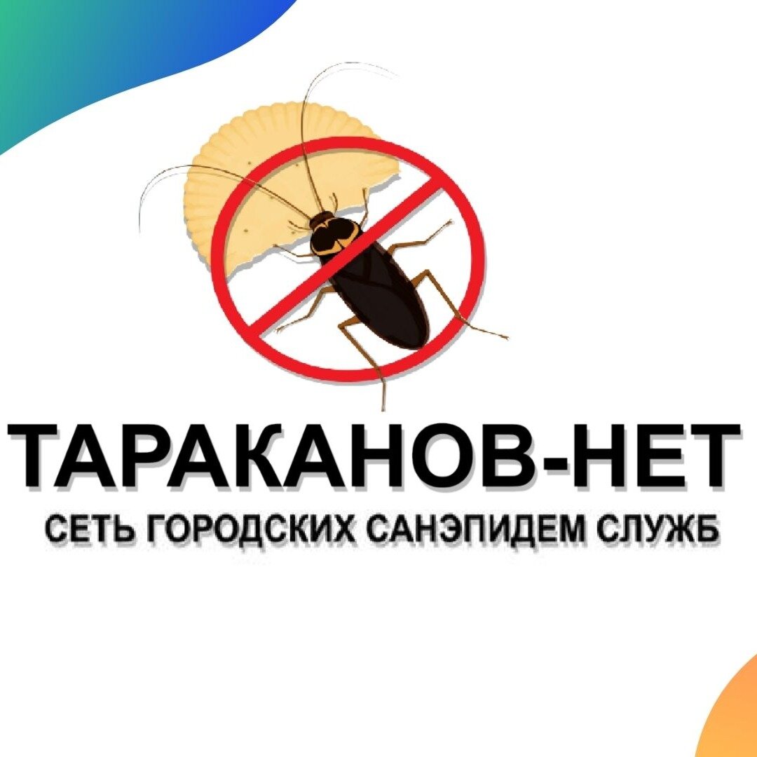 "ТАРАКАНОВ-НЕТ" Сеть Городских СанЭпидем Служб