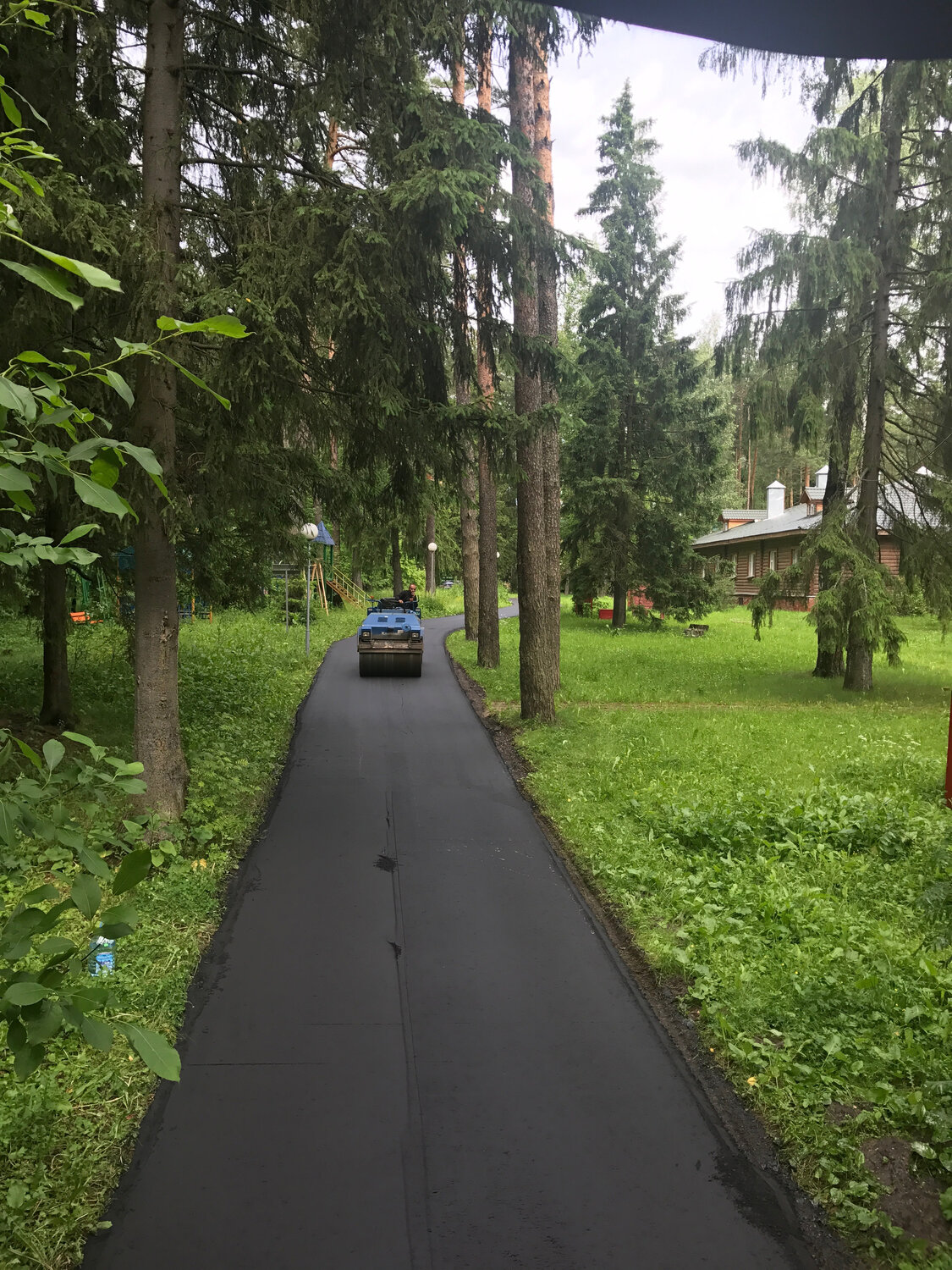 улица, парк, участок, заасфальтированная дорожка в салтыковке в лесу, приморский парк сосновый бор