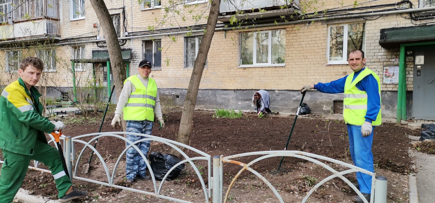 посадка деревьев во дворе многоквартирного дома, во дворе, уборка территории, озеленение, уборка территории проводится