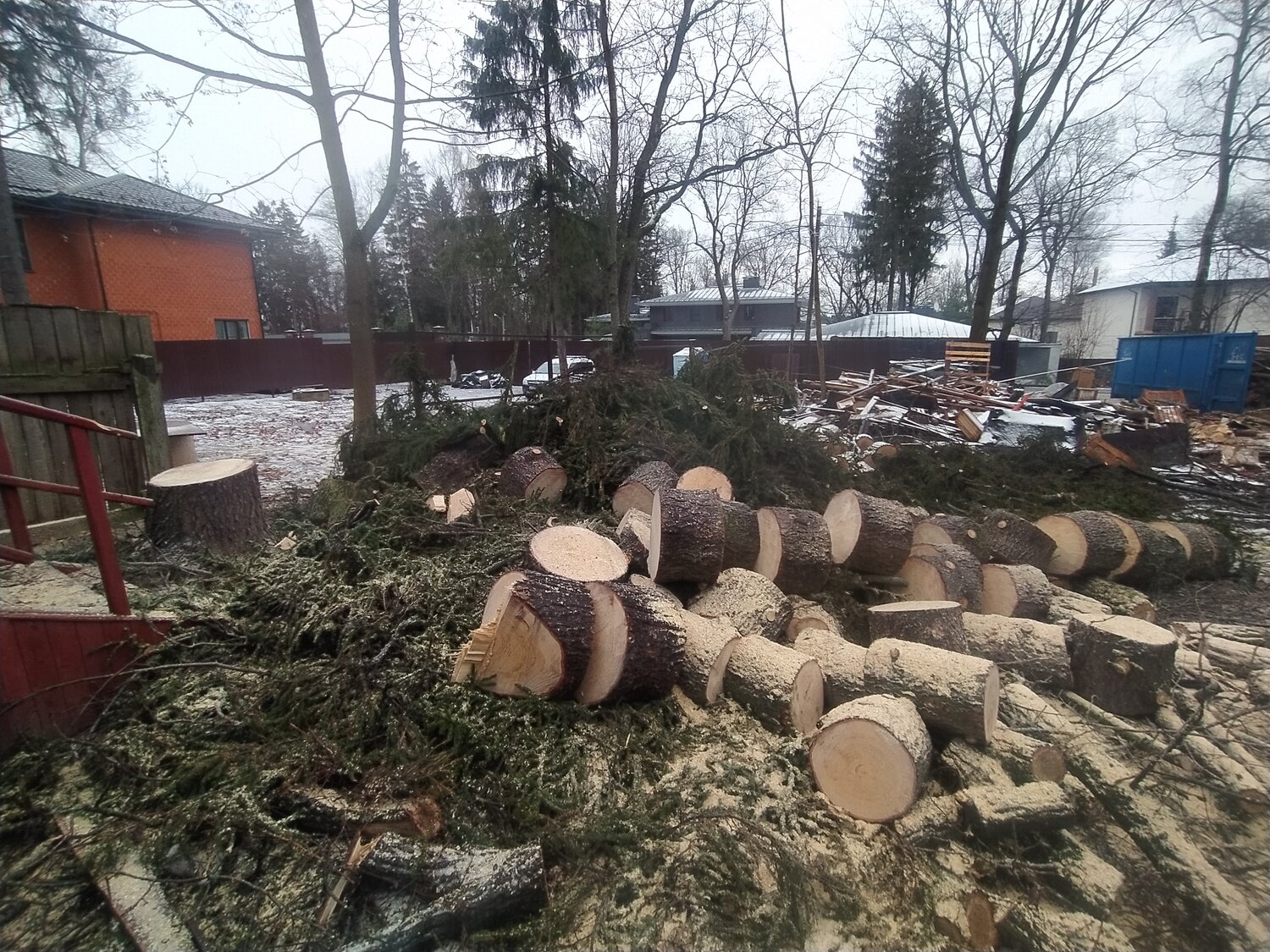 дрова, дрова дубовые, дерев, спил деревьев калуга, дрова еловые