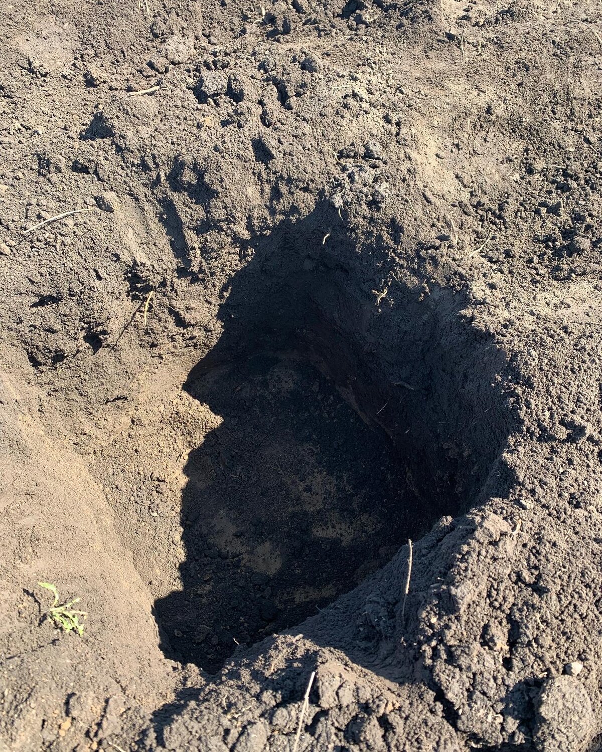 посадочная яма, в яме, земляные работы, one mole digging a hole, черный археолог