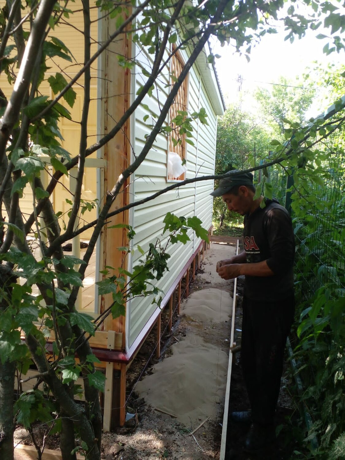 двор частного дома, дача, дача в деревне, дом дача, растение