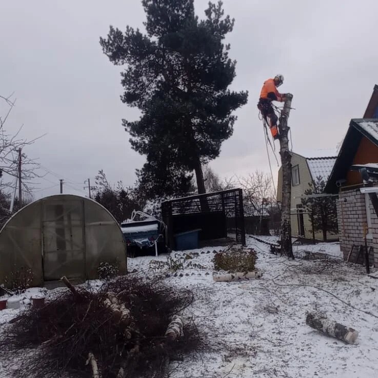 наводнение 2013 радица крыловка, ветка над домом, спиленное дерево, спил дерева, расчистка участка