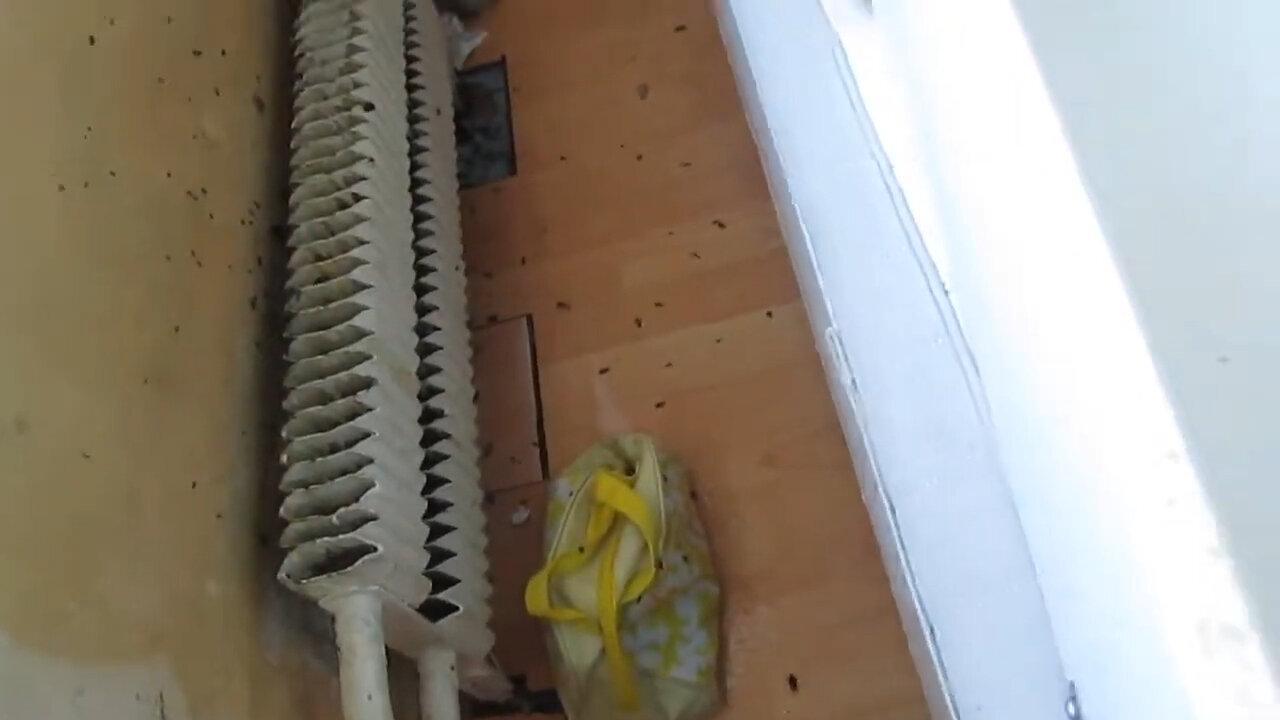 отопление, радиаторы отопления, ремонт отопления, батареи отопления, отопительные радиаторы