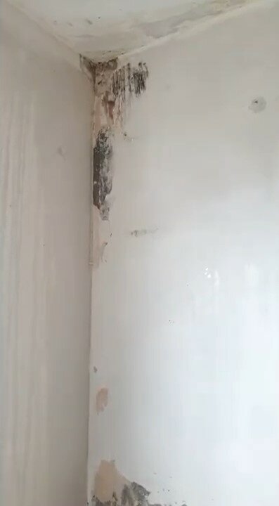 плесень на стенах, средство от плесени на стенах, плесень в углу комнаты, на стенах, интерьер