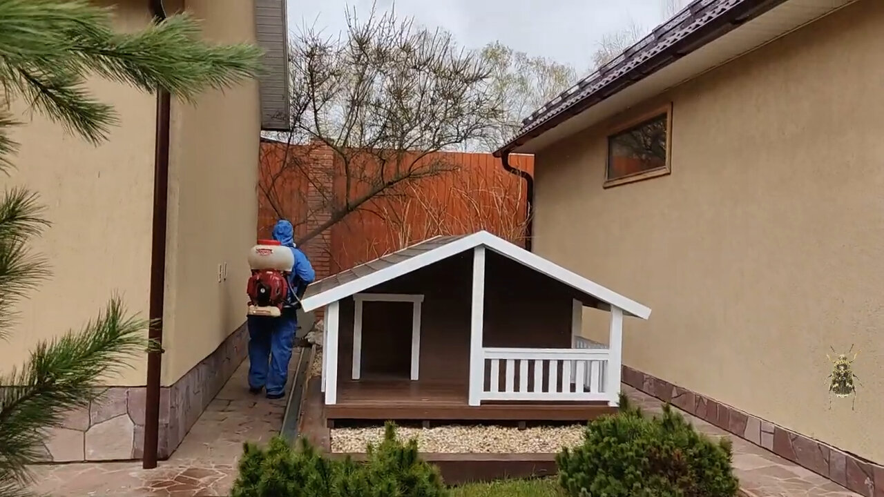 дом на даче, дом, дом коттедж, дома дом, коттедж