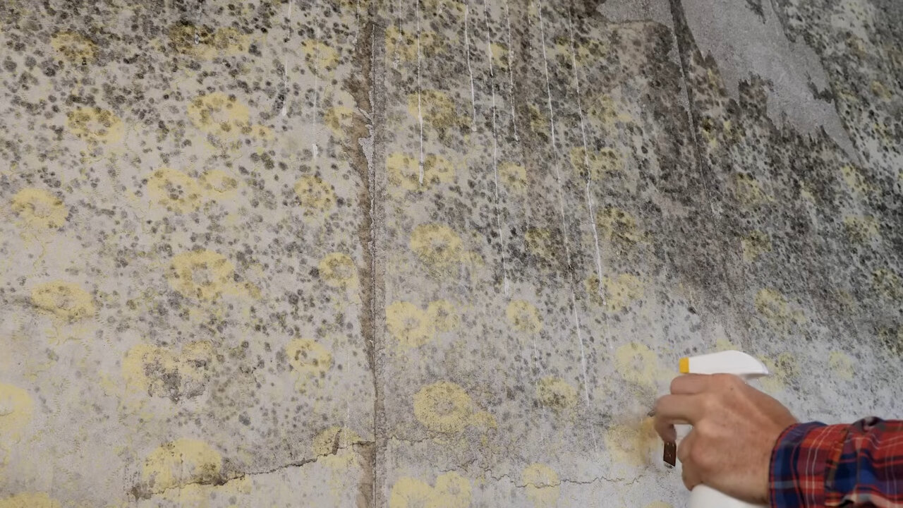 текстура бетона, плесень на стенах, текстура бетонной стены, фактура бетона, бетон стена текстура