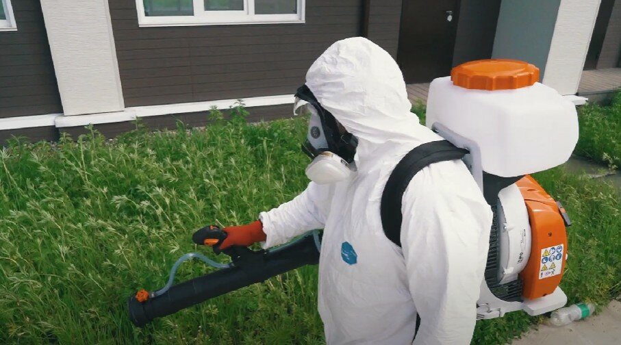 борщевик обрабатывают гербицидом, акарицидная обработка, гербицидная обработка, дезинсекция, дезинсекция комаров