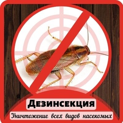 дезинсекция, дезинсекция барнаул тараканы отзывы, уничтожение тараканов, объявление о дезинсекции, уничтожение тараканов знак