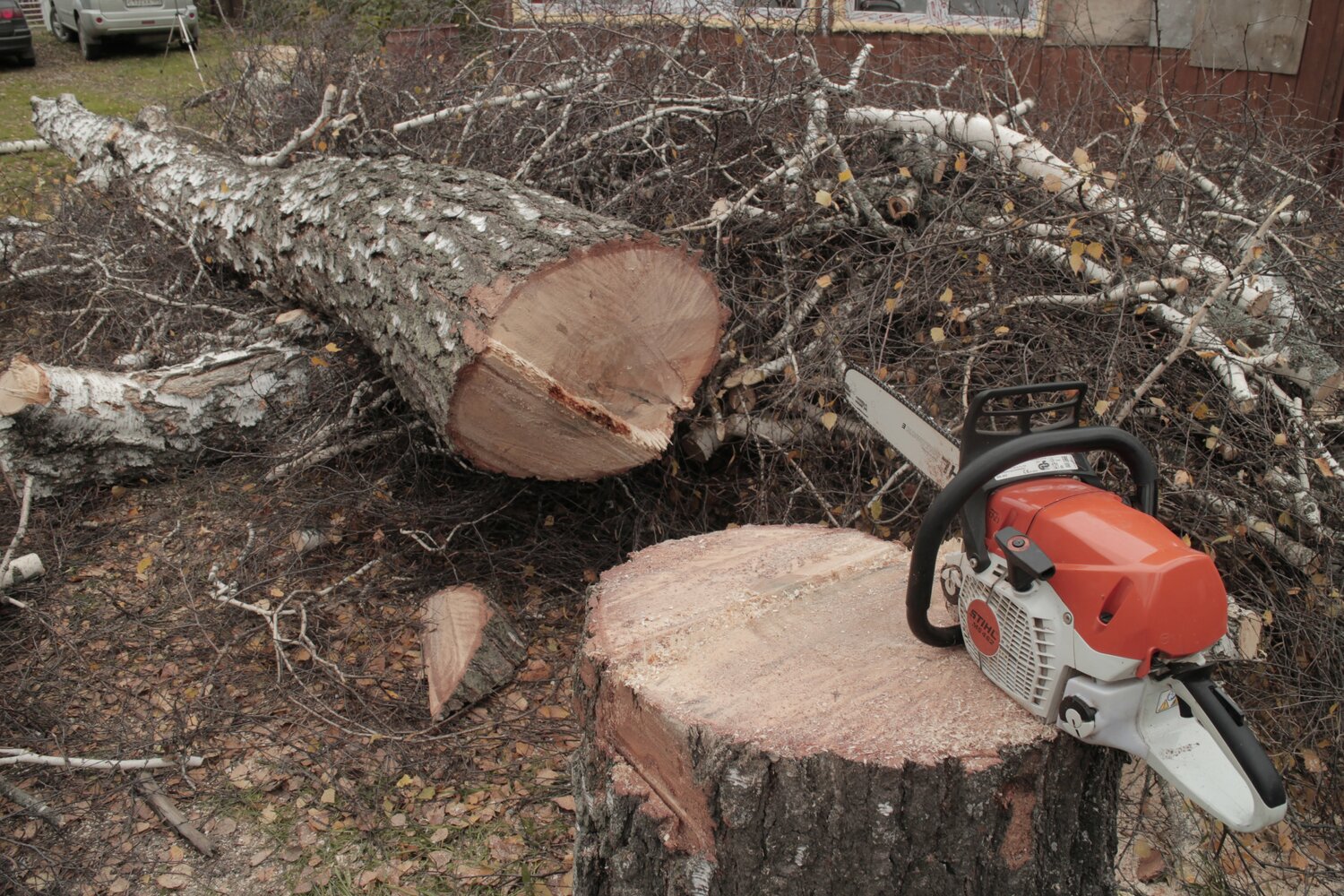 stihl, stihl ms 271, stihl ms 462, stihl ms 391, stihl ms 500i распил дров