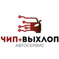 Чип Выхлоп