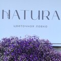 Natura Flowers Shop