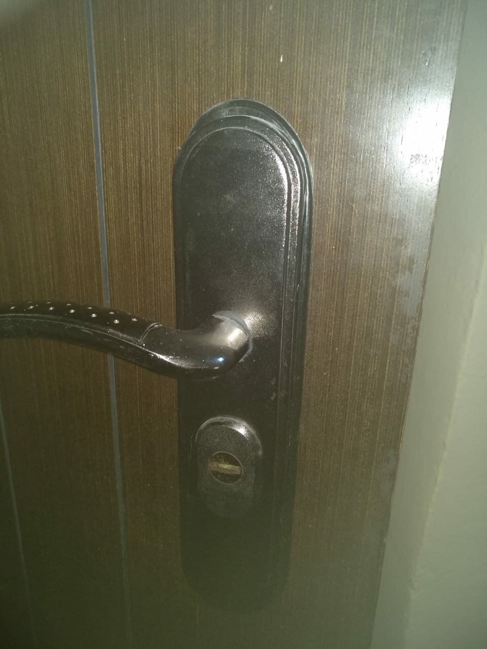 дверная ручка, замок для двери, ручка master lock ml-200, дверная ручка для входной двери эльбор, дверь