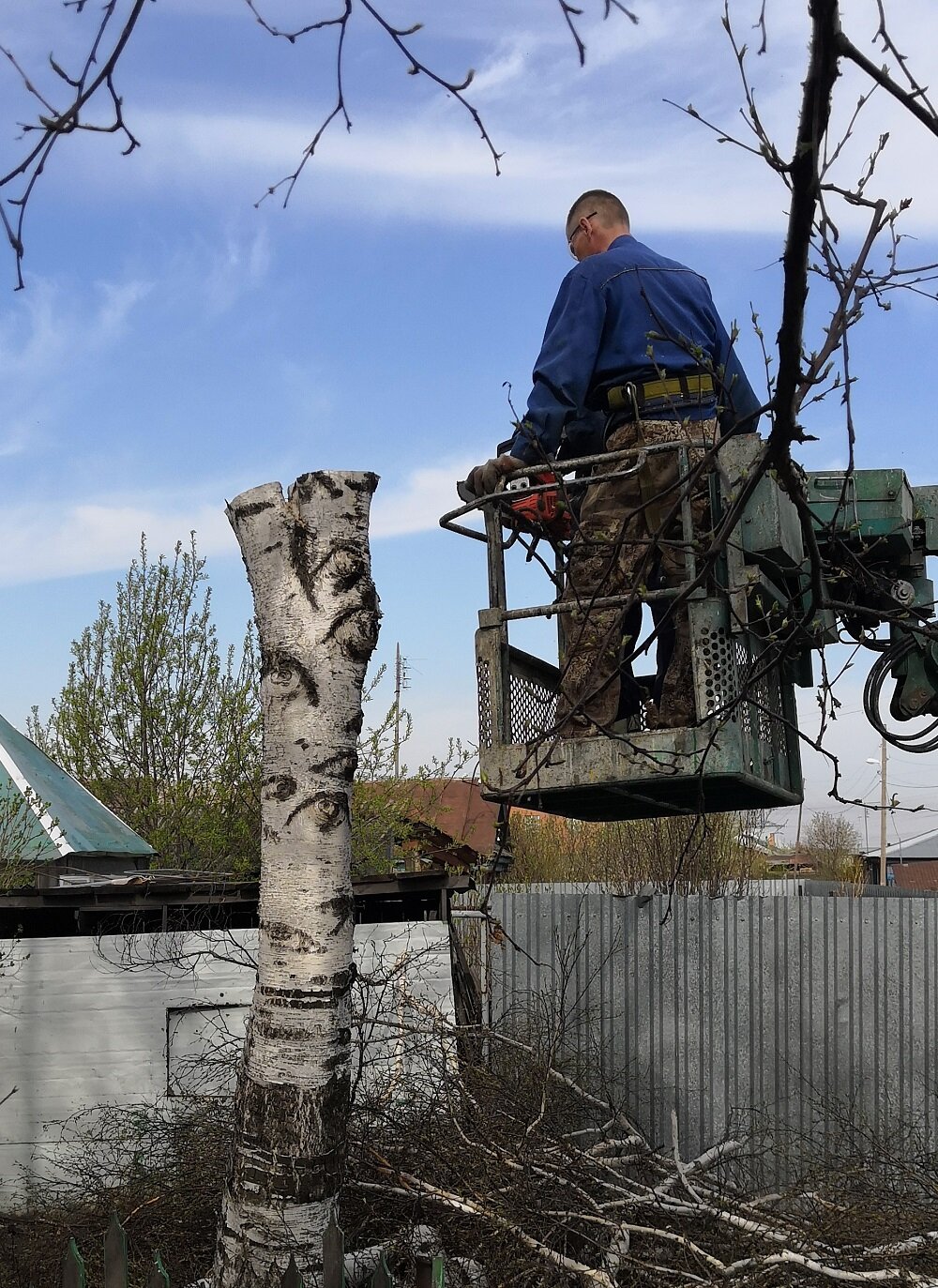 обрезка деревьев, опиловка деревьев сергиев посад, мбу убгб спил деревьев, кронирование яблони, дерев