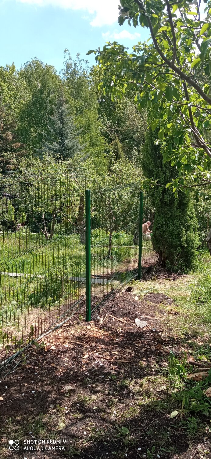 забор сетка рабица, три д заборы, рабица забор, забор из сетки рабицы, заборы сетка