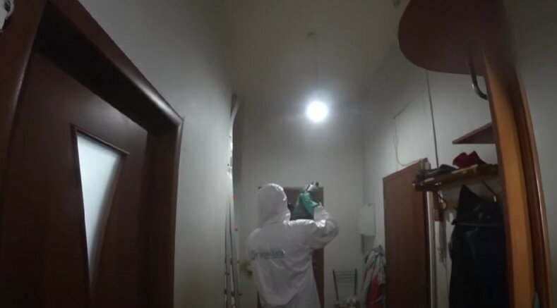 дезинсекция, уничтожение клопов, дезинфекция поверхностей, дезинфекция, дезинфекция помещений