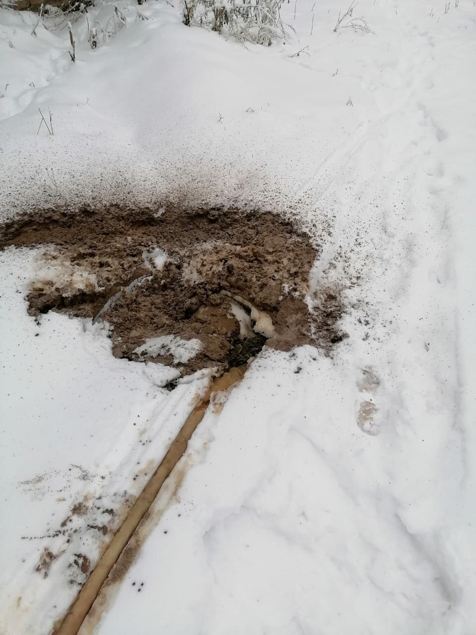 природа, нора зимой, в снегах, следы копыт на снегу, капкан на норе бобра