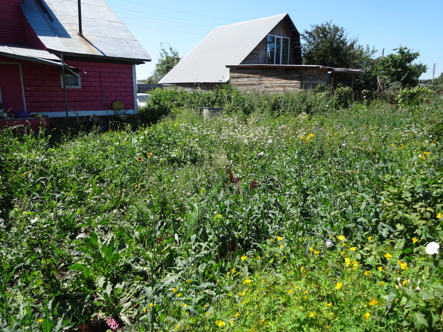 участок, земельный участок, дача, деревни, дачная