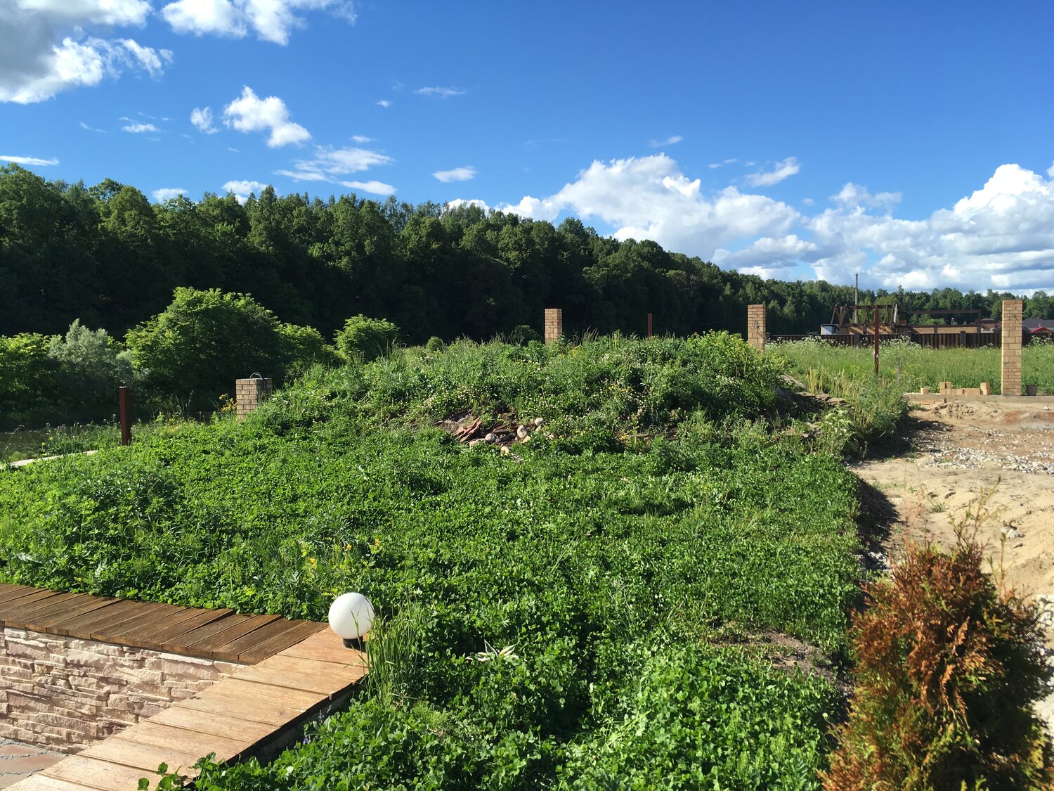участок, деревни, дача, садов, garden