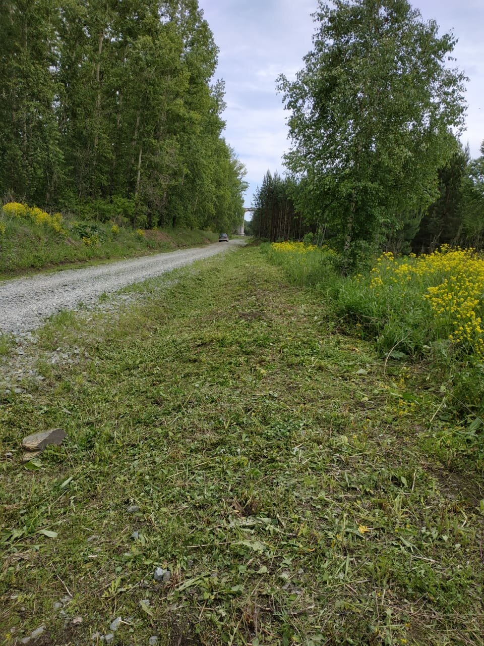 дорога, поле дорога, дорога в лесу, участок, грунтовая тропинка