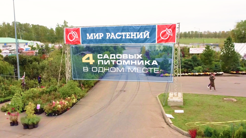 садовый центр калининград, питомник растений волгоград лотос, питомник белогорья, питомник в чукреевке омск живой сад, питомник