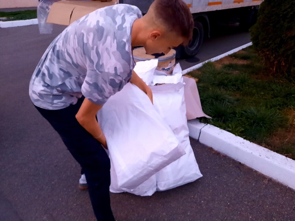 человек, жених выносит невесту на руках, жених, невеста на руках, парень