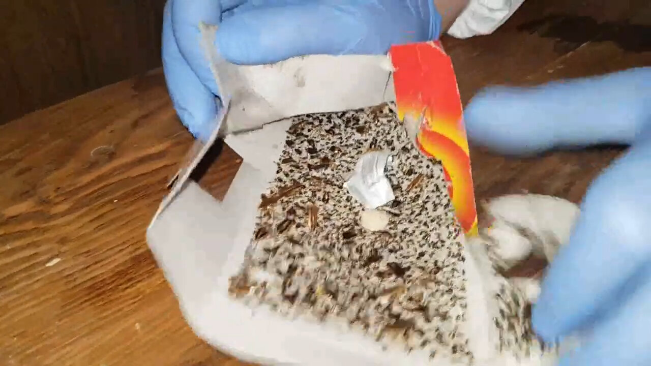 ежик у ветеринара, сода от пятен на ковре, средство для чистки ковров, выведение пятен, почистит