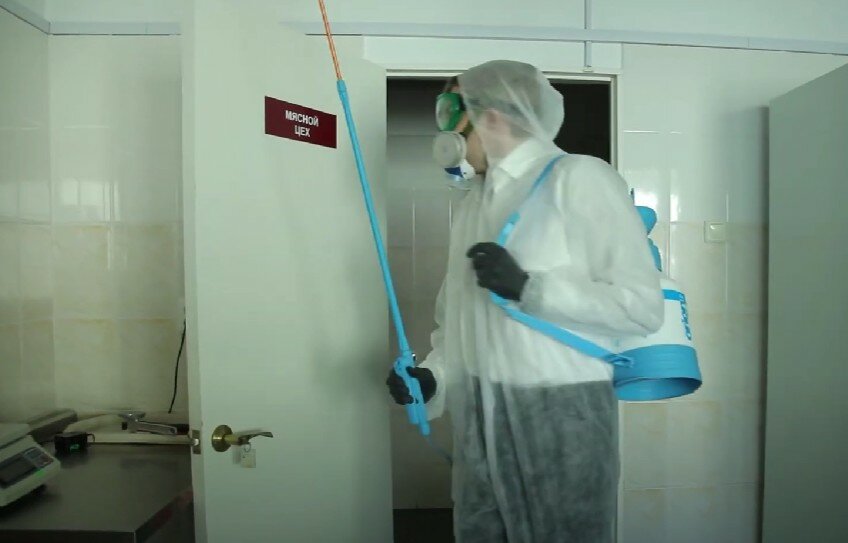 дезинфекция, дезинфекция дезинсекция дератизация, дезинфекция помещений, заключительная дезинфекция, текущая дезинфекция