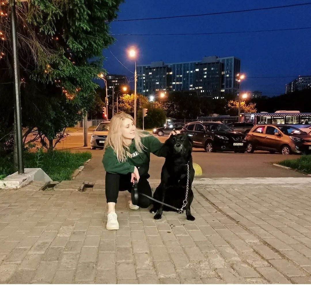 девушка, человек, кристины, фотографии анны, на прогулке
