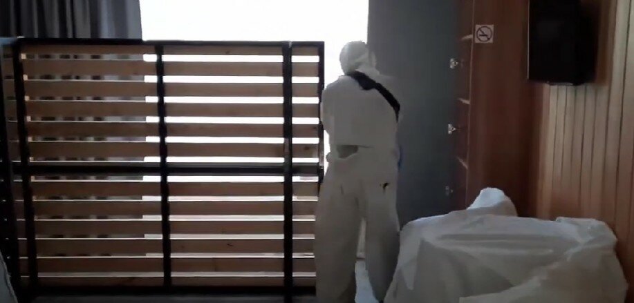 дезинсекция, дезинфекция помещений, дезинфекция от клопов, дезинфекция дезинсекция дератизация, дезинсекция и дератизация