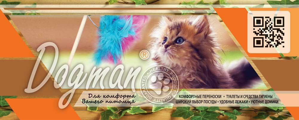 кошечка, кот, любимые кошки, пушистый, животные