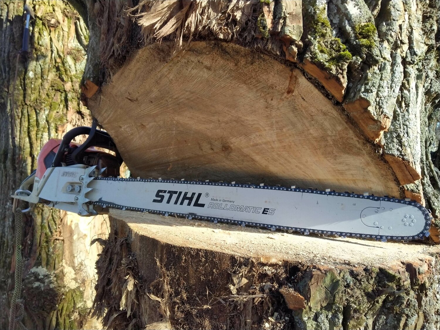 бензопила stihl, цепная бензиновая пила stihl ms 661-18, stihl, цепная бензиновая пила stihl ms 660, пила stihl