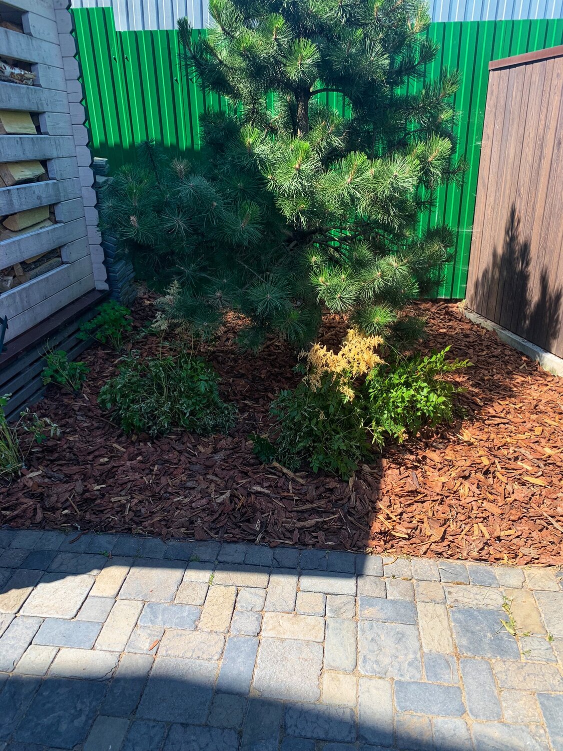 мульча, растения, ландшафтный дизайн, мульча barkinwood, мульча лиственницы