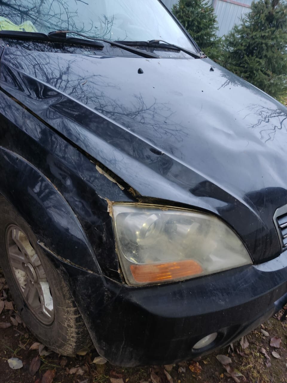 hyundai tucson 2002 раптор, бу автомобили, kia sorento 2008, автомобиль, авто