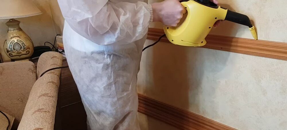 пароочиститель karcher, пароочиститель ручной, пароочиститель керхер, дезинфекция от клопов ижевск, пароочиститель для дома