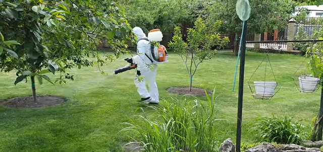 дезинсекция комаров, дезинсектор на участке, акарицидная обработка, дезинсекция, дезинсекция клещей на участке