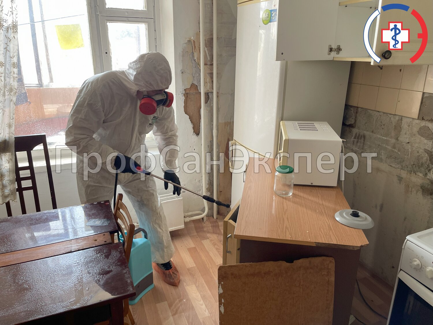 дезинфекции, дезинсекция, дезинфекция поверхностей, дезинфекция дезинсекция дератизация, дезинфекция помещений