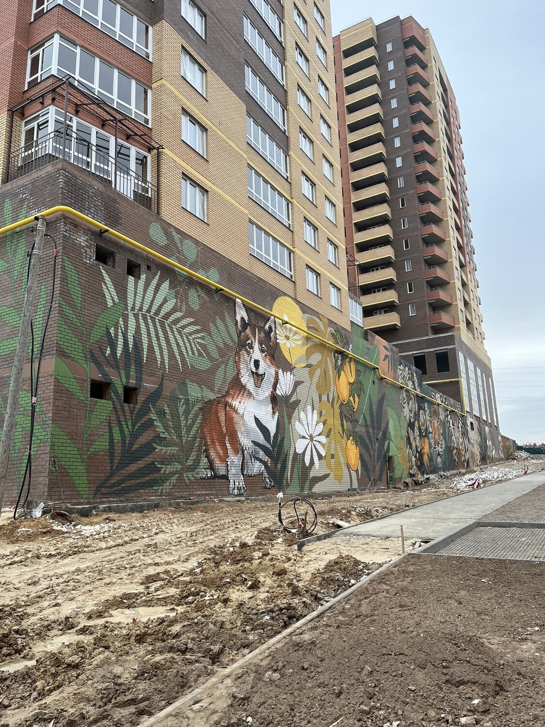здание, жилой комплекс, жк сокол град ростов, мурал, одинбург жилой комплекс одинцово