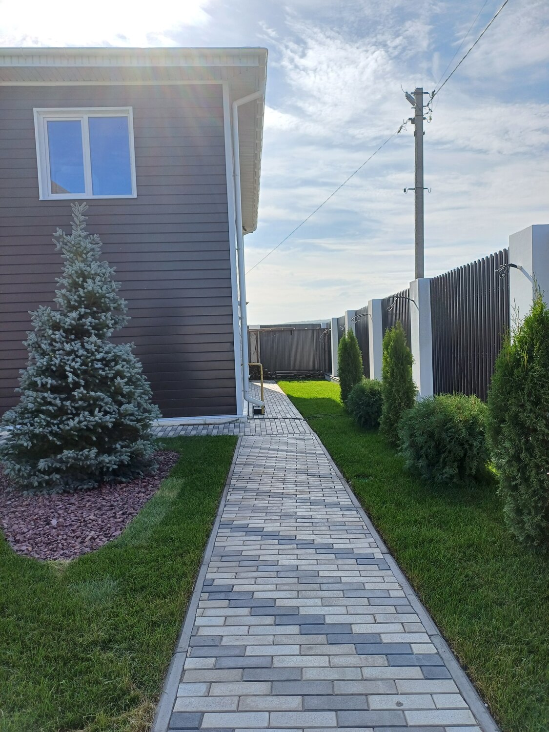 ель колючая хупси, ель колючая, ель голубая глаука, ель колючая голубая, ель колючая edith