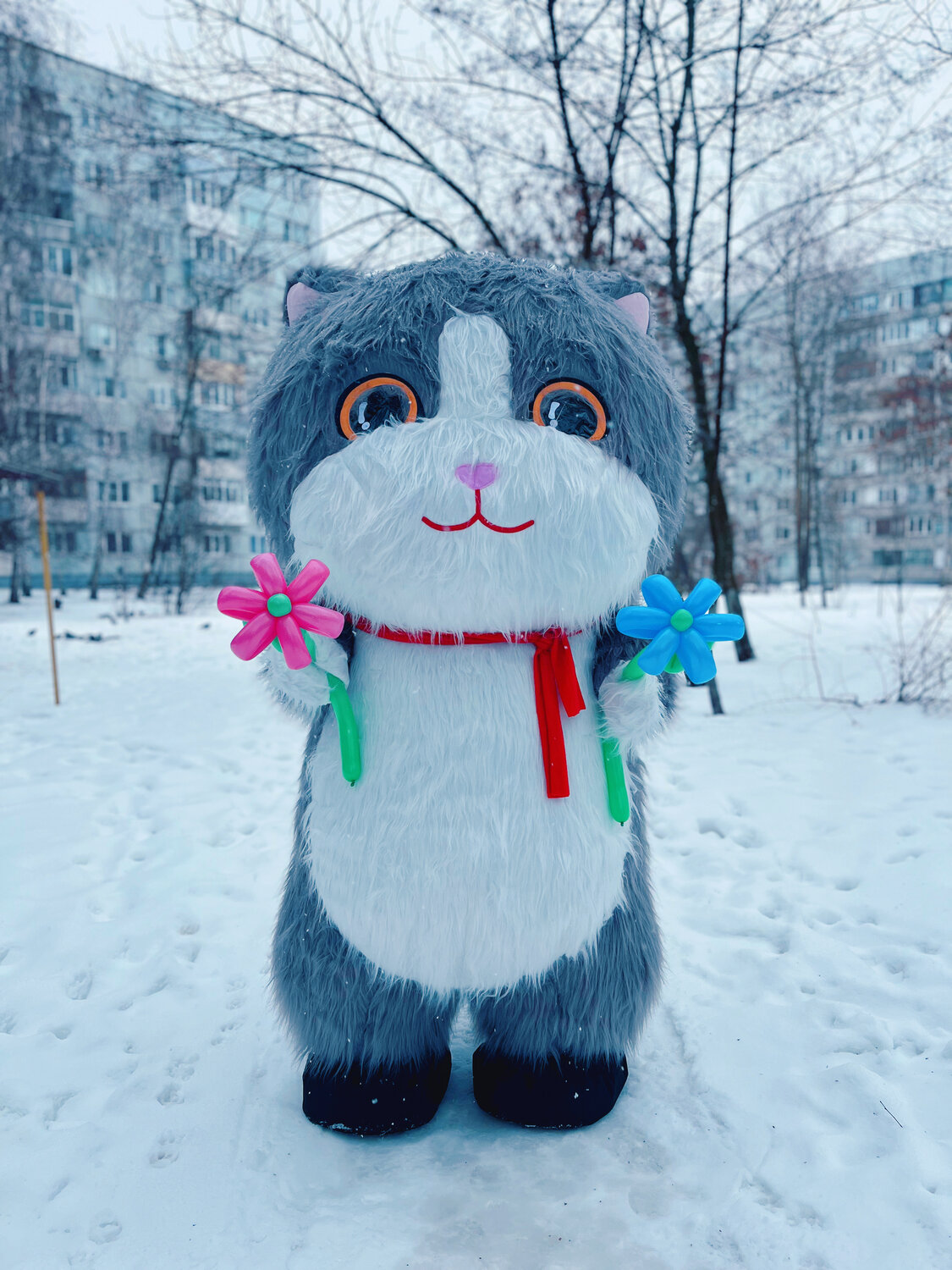 мягкая игрушка, игрушка кошка мягкая, игрушка котик, котик, игрушка кошка