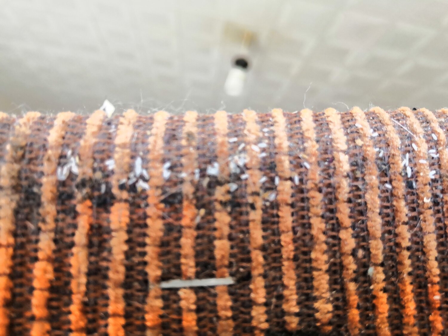 паракорд 550 черный, паракорд, паракорд 125, паракорд цвет orange camo, паракорд 150