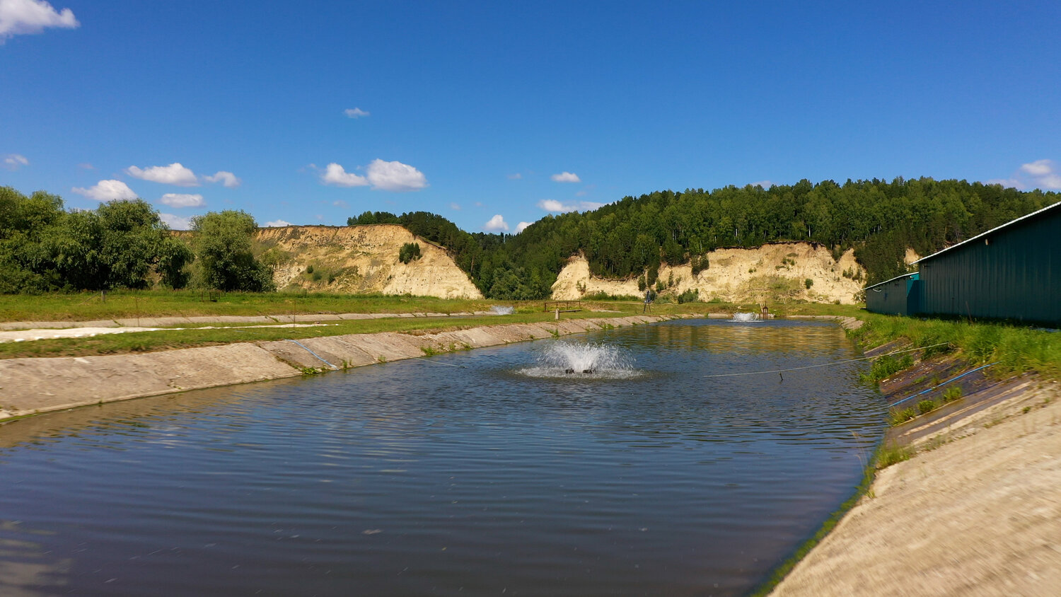 природа, большая вода, фотография реки, река природа, река сухона