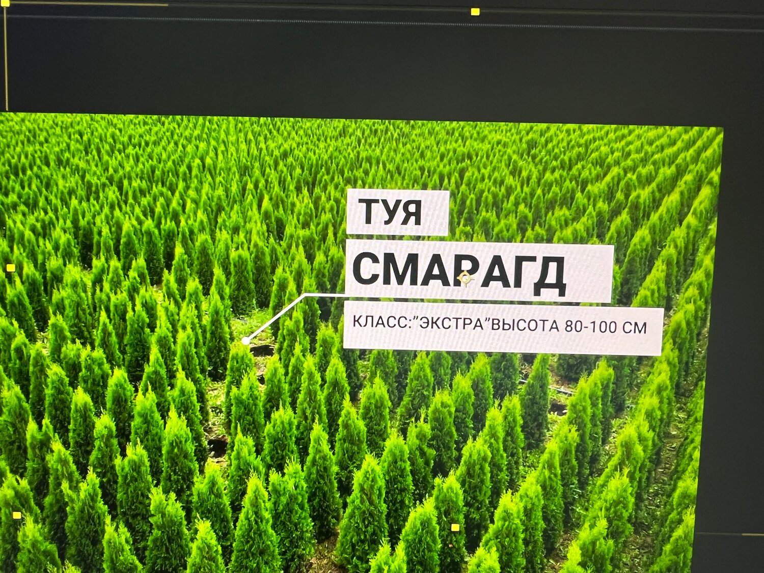 Видеосъёмка тренингов и конференций
