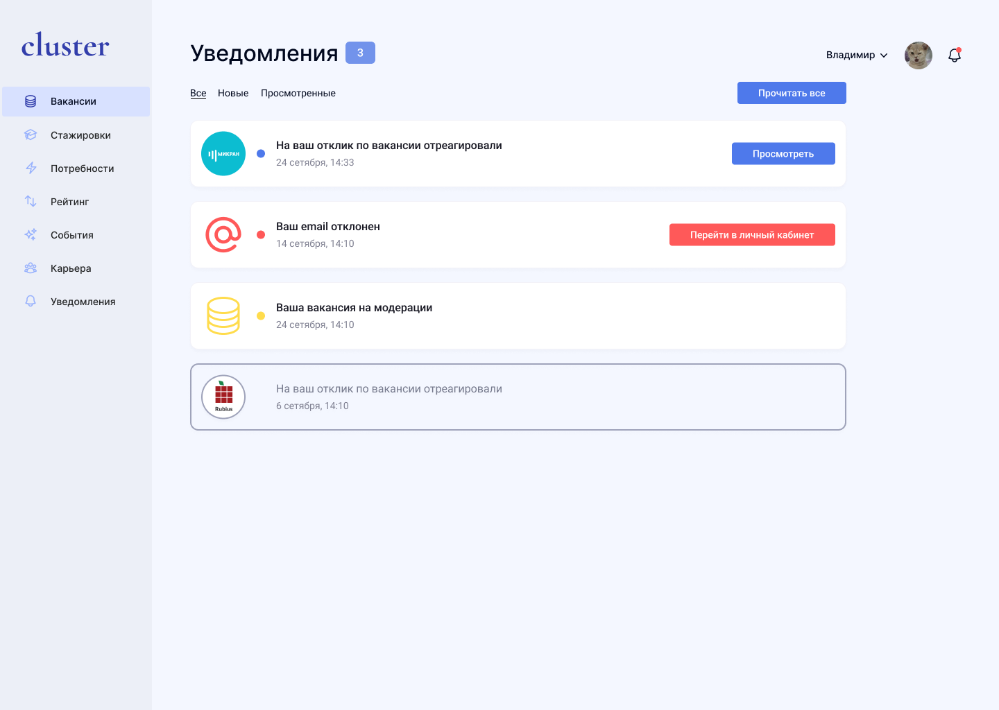 wordpress личный кабинет, веб дизайн, экран телефона, юзернеймы готовые, рассылка в телеграм