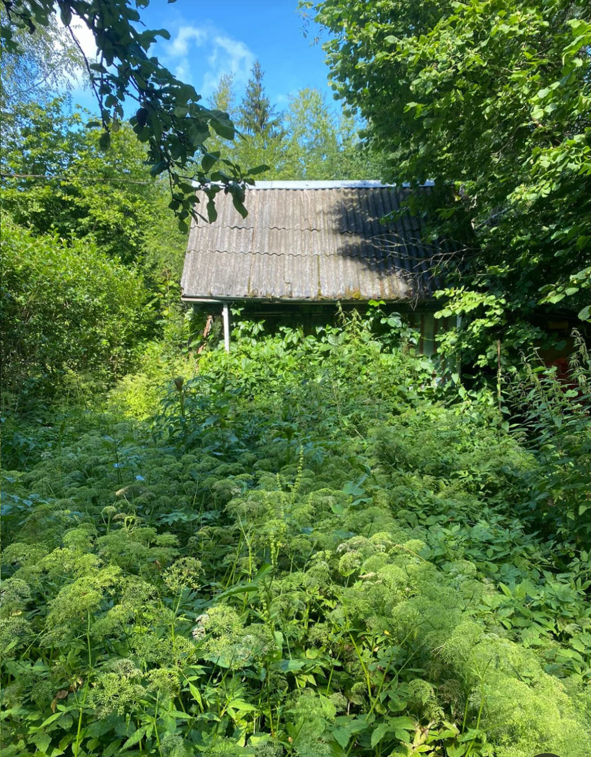 участок, дача, дом дача, дачные участки, мебель