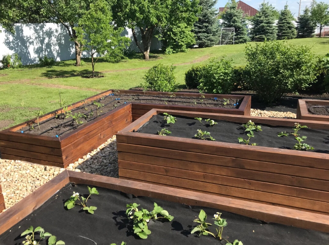 высокие грядки, деревянные грядки, грядки, высокие грядки дпк, красивые грядки