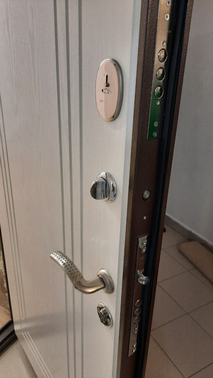 металлическая дверь троя, дверь, входная дверь, металлическая дверь, входная металлическая дверь