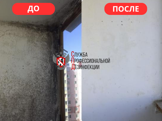 средство от плесени на стенах, герметизация межпанельных швов, утепление стен, от плесени на стенах, плесень на стенах до и после