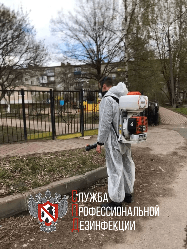 дезинфекция, дезинсекция, дезинфекция дезинсекция дератизация, акарицидная обработка, дезинфекция и дезинсекция