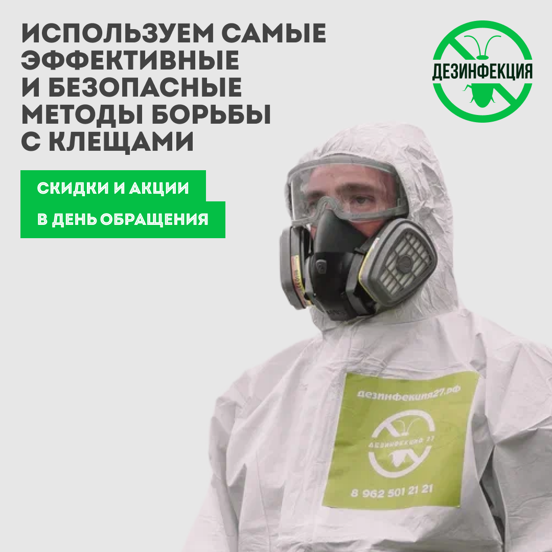 дезинфекция дезинсекция дератизация, дезинфекция от клопов, дезинфекция от клопов ижевск, дезинфекция, дезинсекция